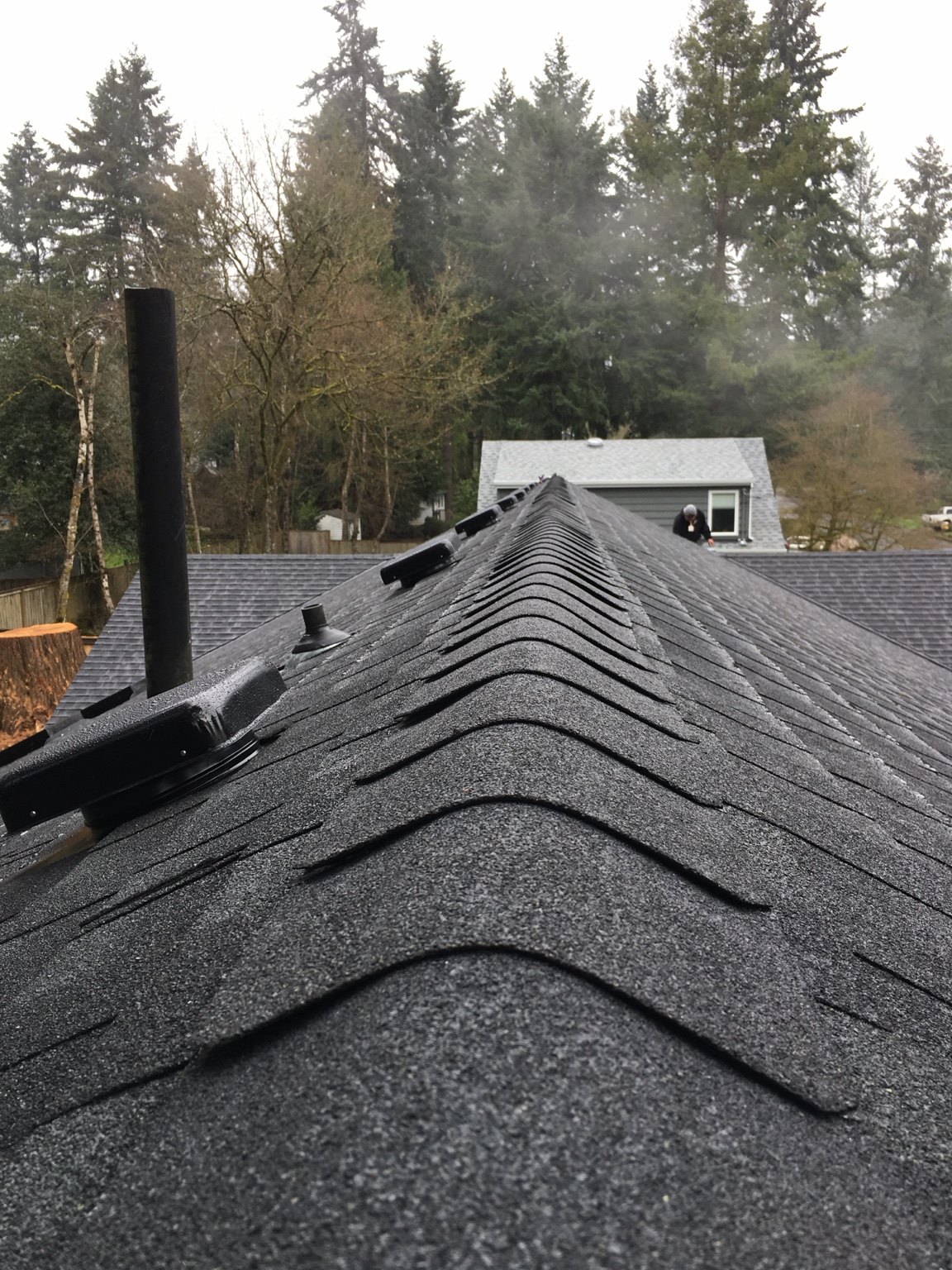 Shingle roof ridge, vents, and surrounding Oregon trees on a Tilly’s roofing project