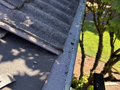 Residential Roof Cleaning