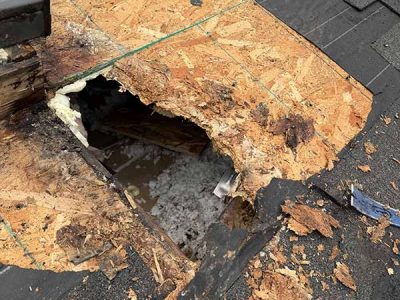 Roof Replacement and Maintenance Service